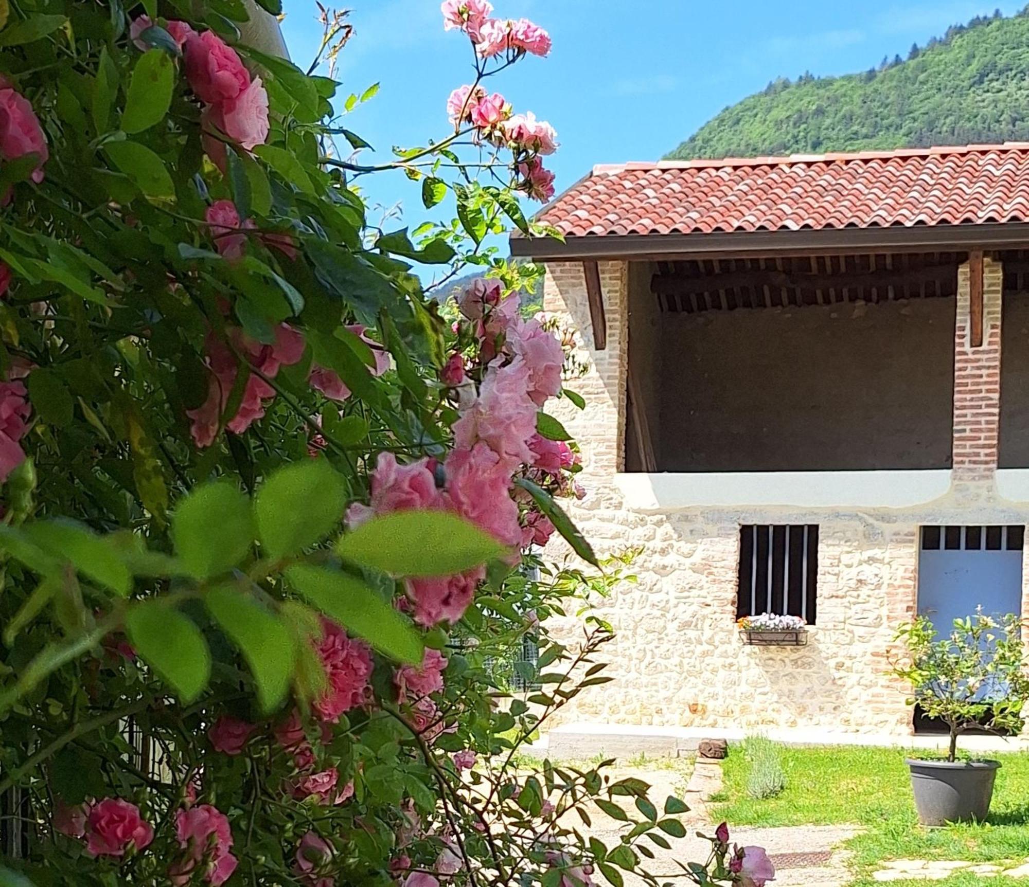 Casa Paola Apartment Borso del Grappa Bagian luar foto